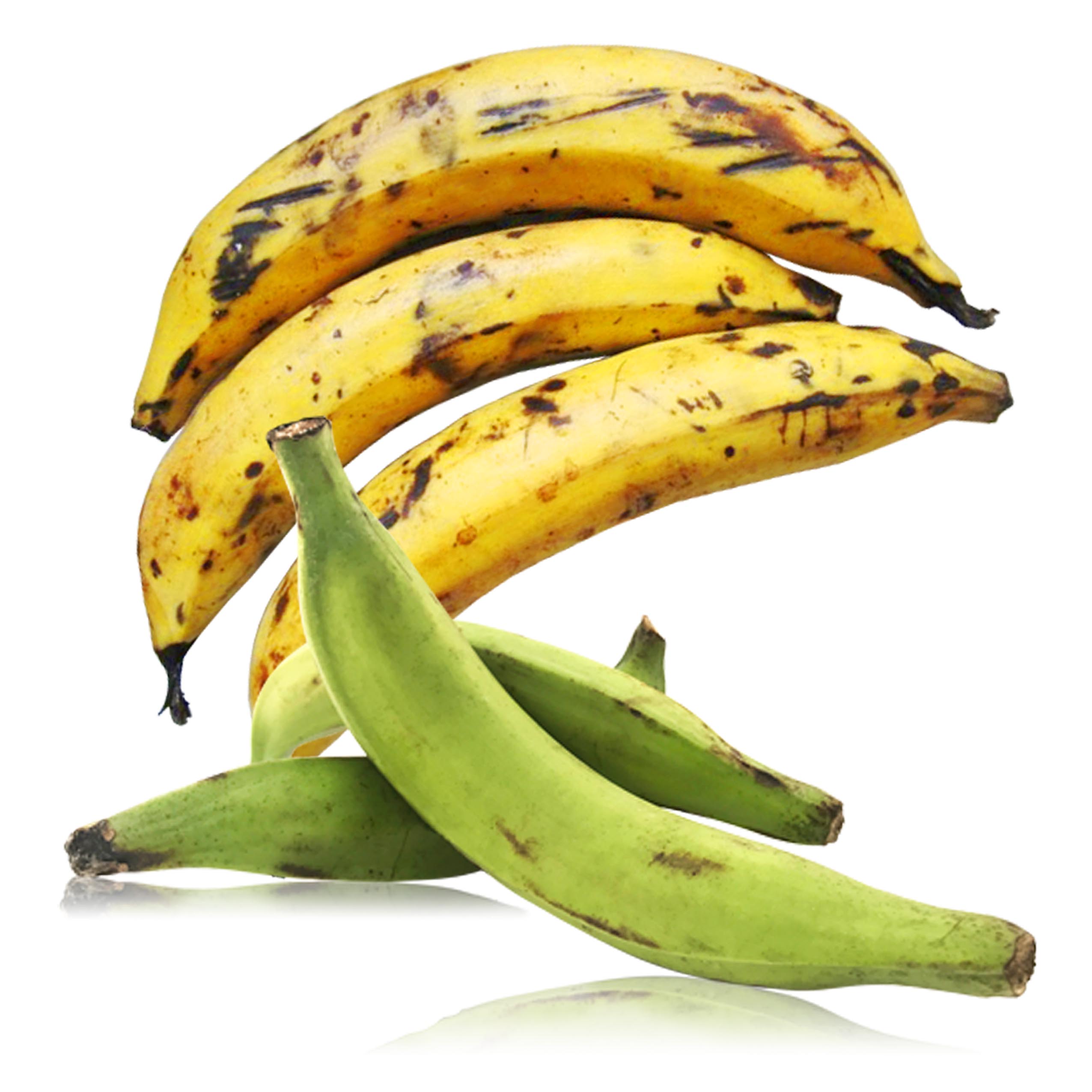 PLATANOS